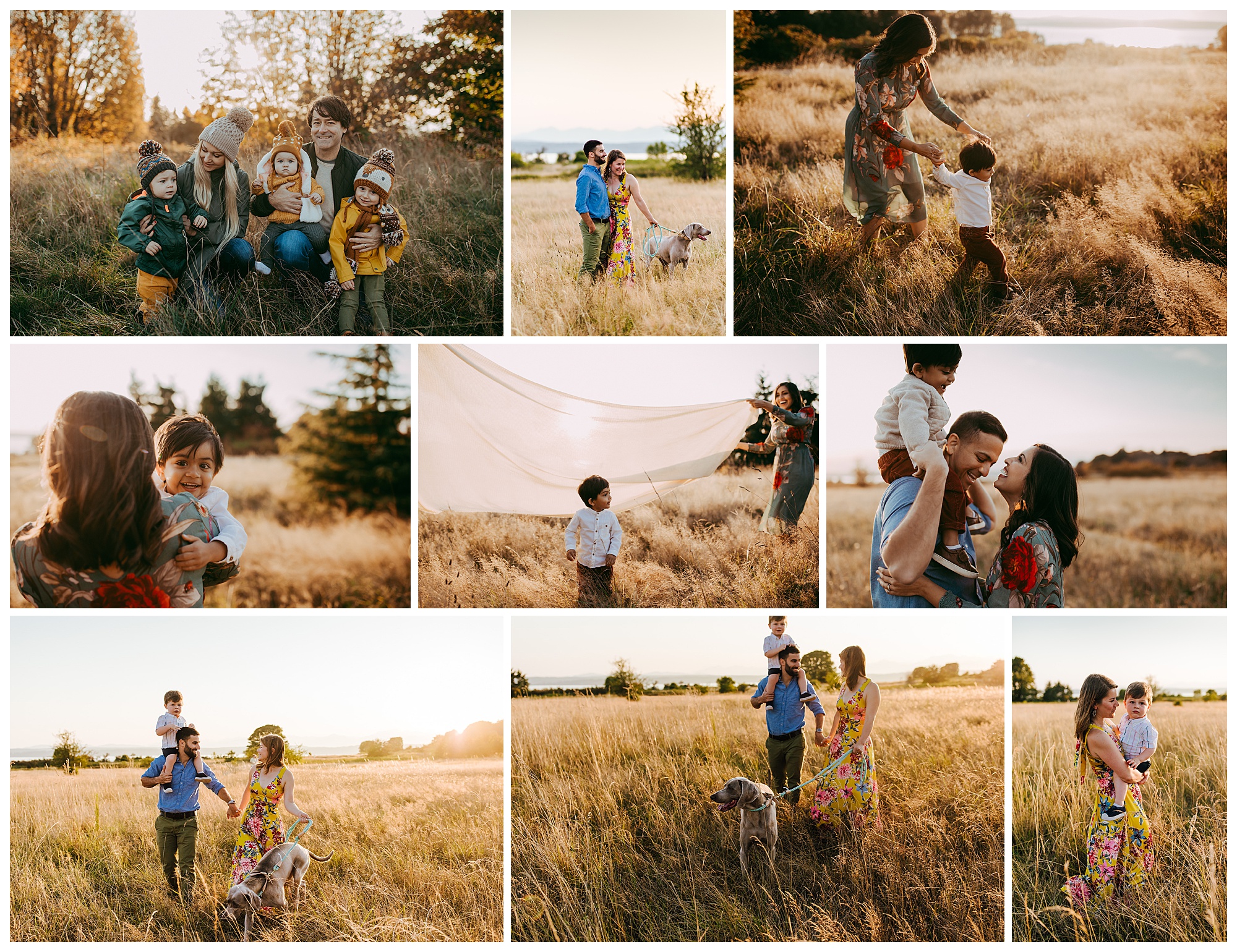 discovery park family photographer