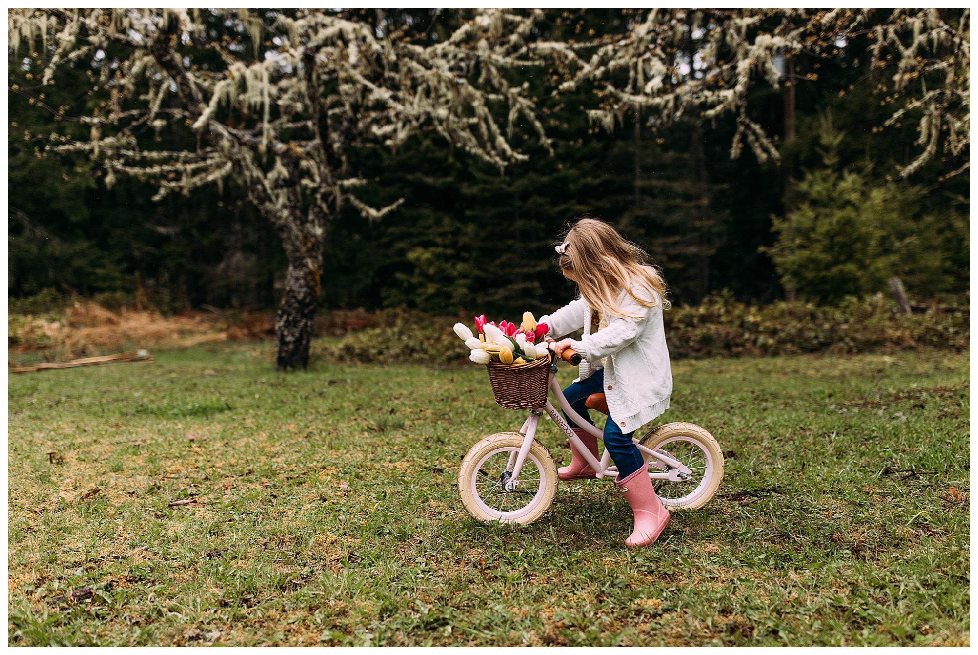 banwood bike - seattle family photographer