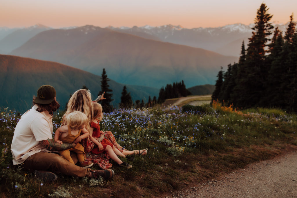 Hurricane ridge