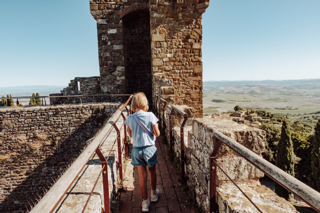 Castle in MOntalcino from above. 